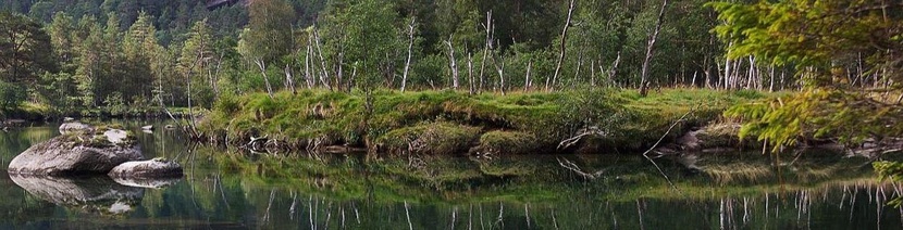 Форма обратной связи